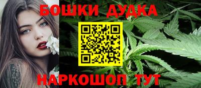 СК Абакан