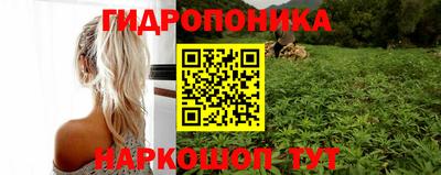 СК Абакан
