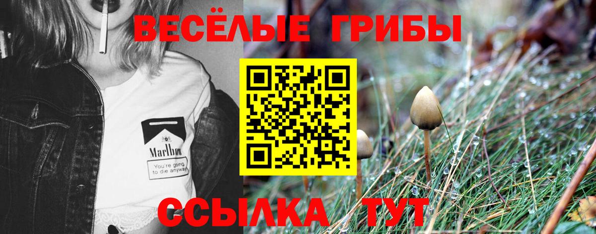 Галлюциногенные грибы ЛСД  Вход с VPN  Апатиты 